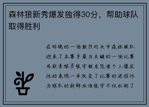 森林狼新秀爆发独得30分，帮助球队取得胜利